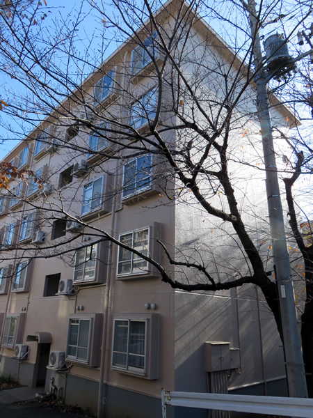 カーサ相模台Ｃ棟の外観