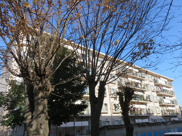 カーサ相模台Ｂ棟の外観