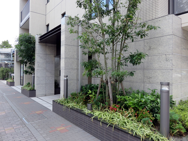 リーフィアレジデンス東林間の外観