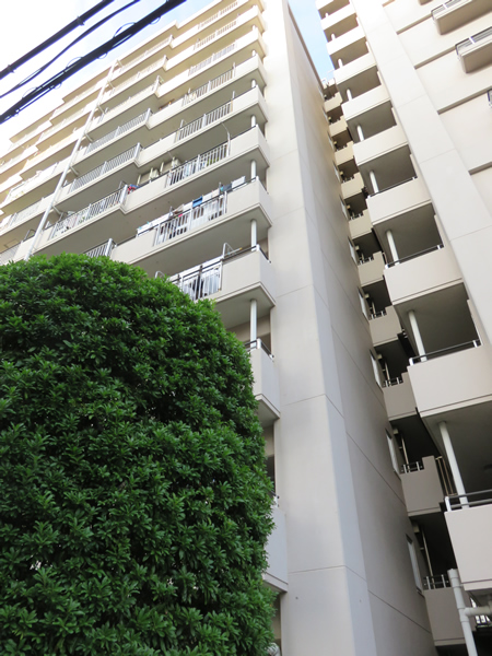 モアレ横浜富士見町の外観