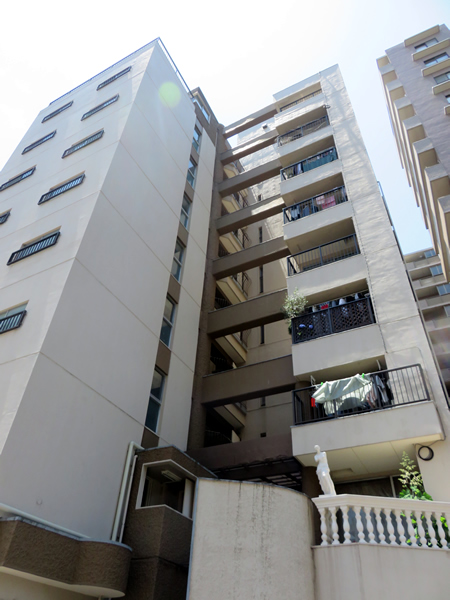 ルナハイツ蒲田の外観