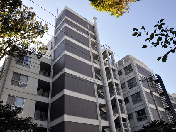 篠原コーポラスD棟の外観