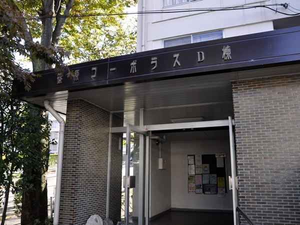 篠原コーポラスD棟の外観