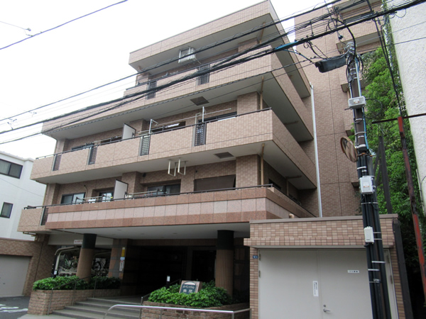 ルイシャトレ鶴間の外観