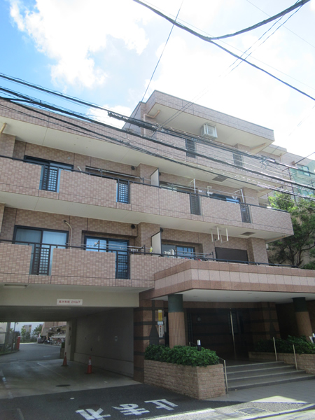 ルイシャトレ鶴間の外観