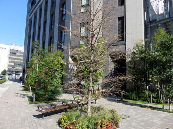 ブランズ横濱馬車道レジデンシャルの外観