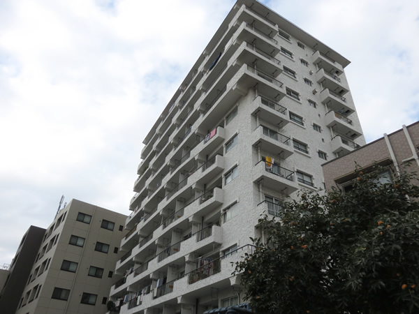 マンションヴィップ落合の外観