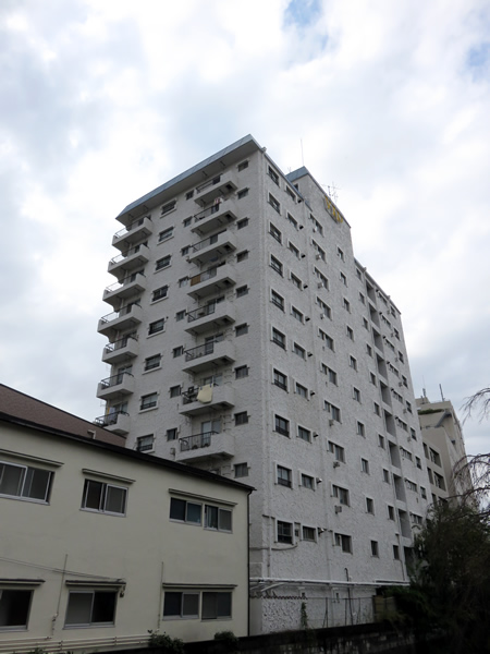 マンションヴィップ落合の外観