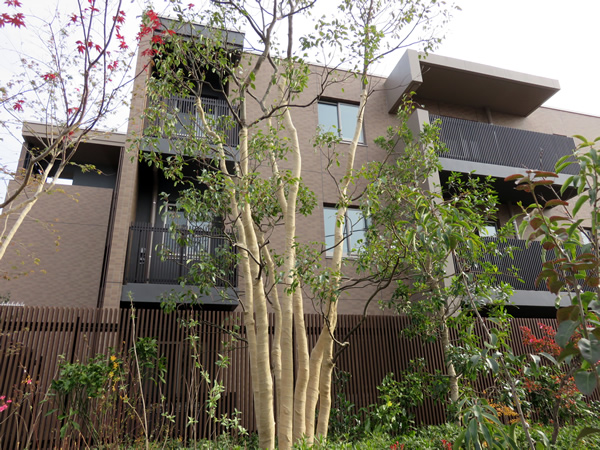 ザ・パークハウスあざみ野一丁目の外観