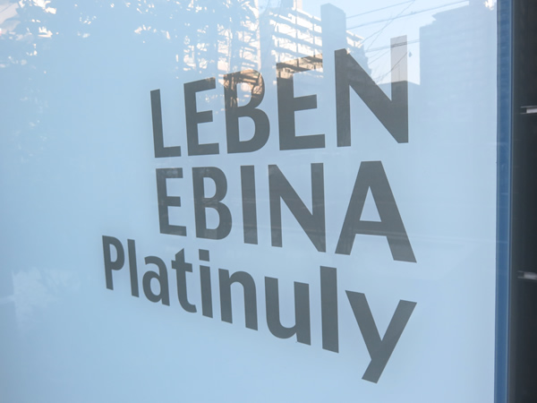 レーベン海老名Platinulyの外観