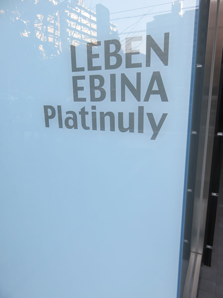 レーベン海老名Platinulyの外観