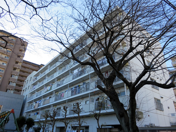 相模原中央ハイツの外観