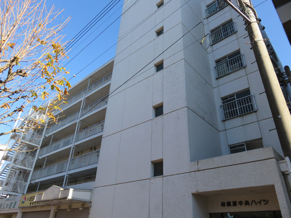 相模原中央ハイツの外観