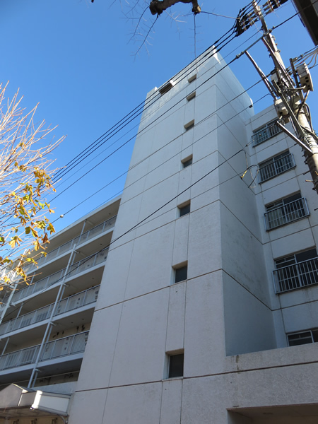 相模原中央ハイツの外観