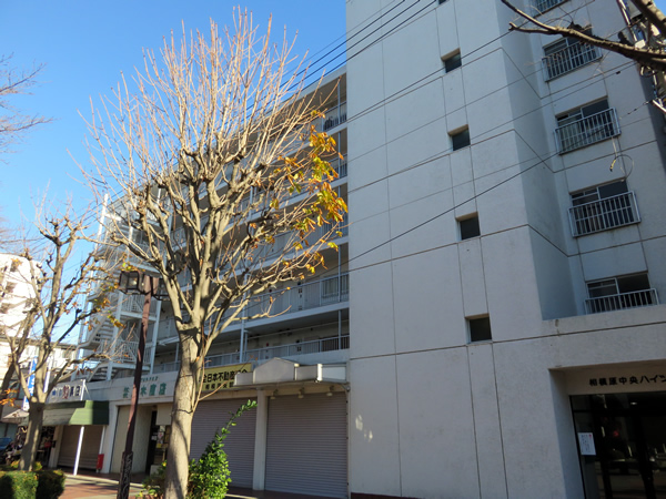 相模原中央ハイツの外観