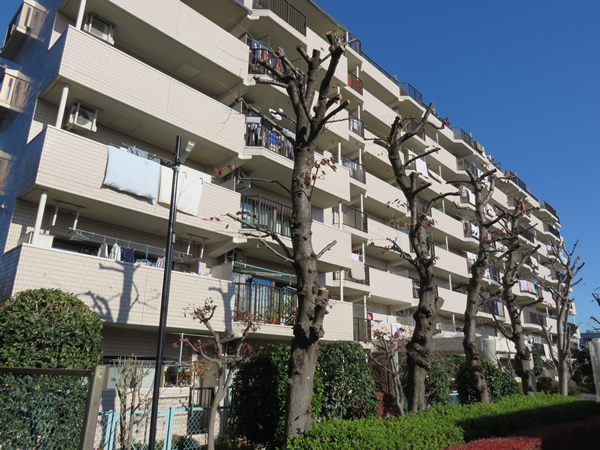 マートルコート相模原の外観