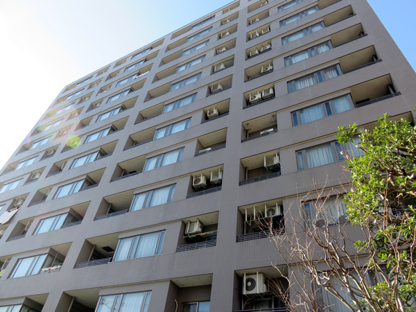 ルイシャトレ相模原の外観