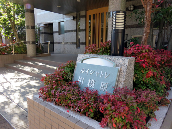 ルイシャトレ相模原の外観