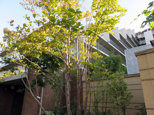 グランドメゾン狛江の外観