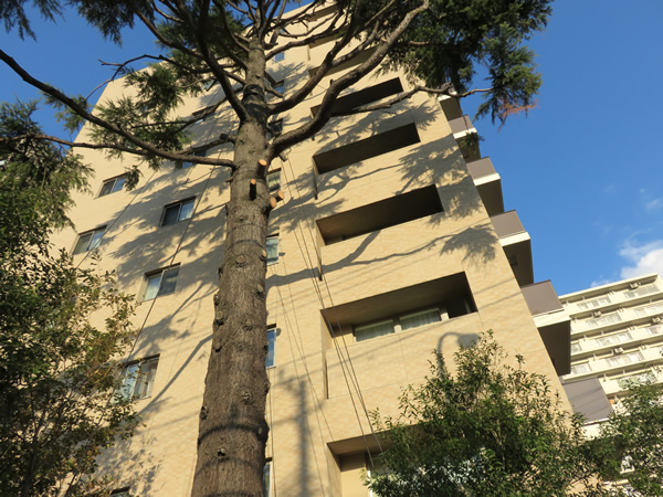 グランドメゾン狛江の外観