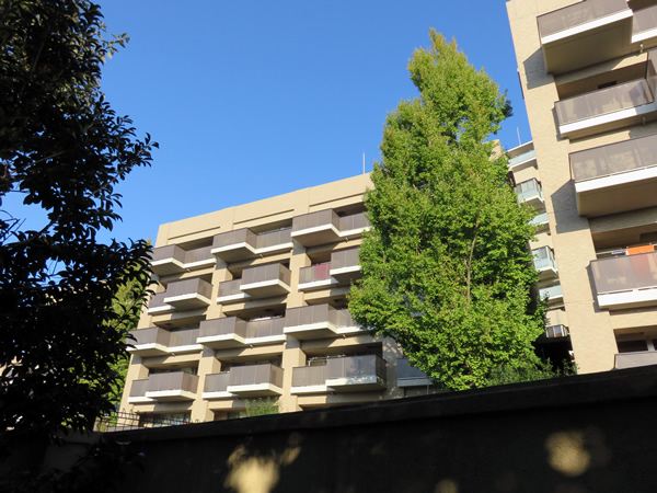 グランドメゾン狛江の外観