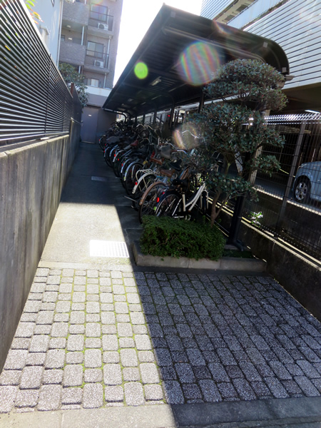 ウインベルコーラス相模原の外観