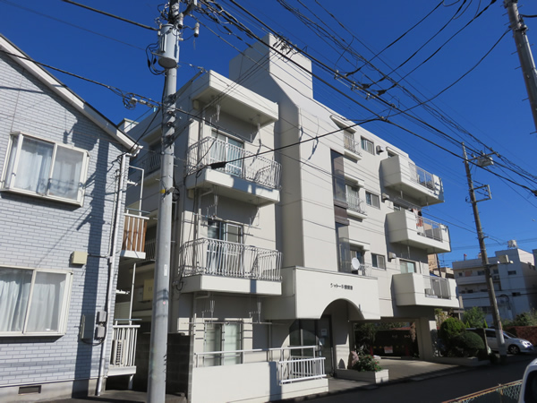 シャトール相模原の外観
