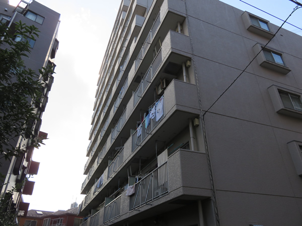 パークハイツ相模原の外観