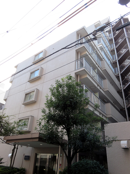 パークハイツ相模原の外観