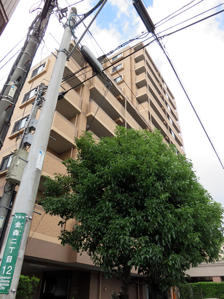 ダイアパレスソレアル町田の外観