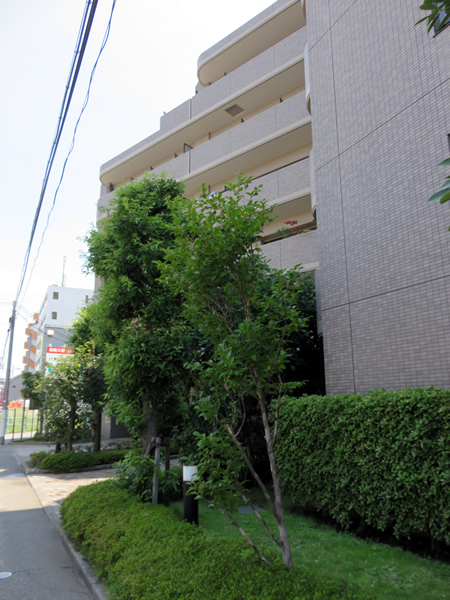 ネオステージ相模大野の外観