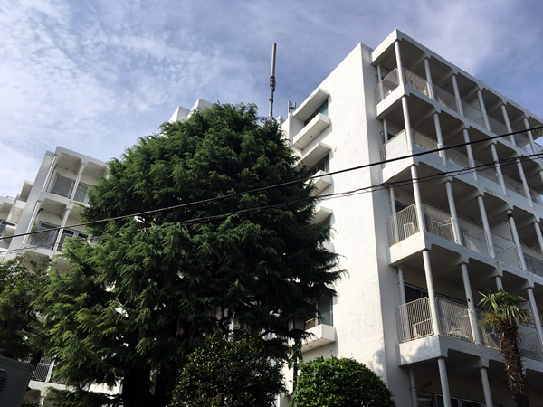 グランドメゾン山手225の外観