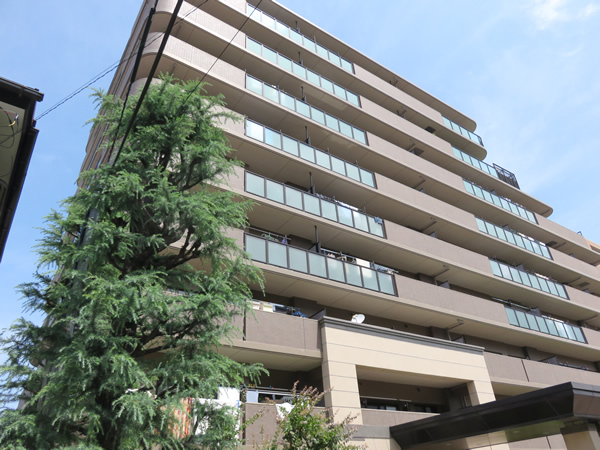 ナイスパークステイツ相模大野の外観