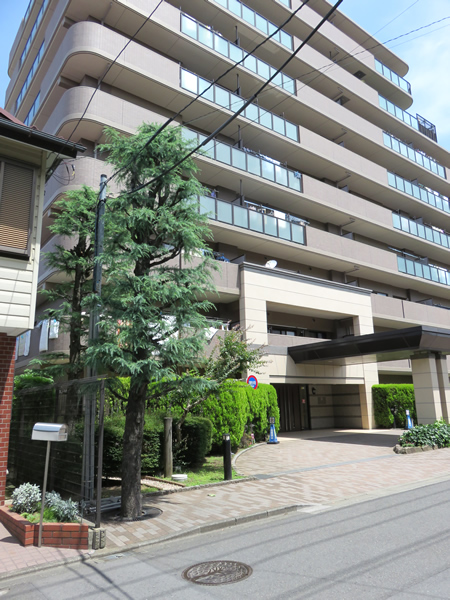 ナイスパークステイツ相模大野の外観