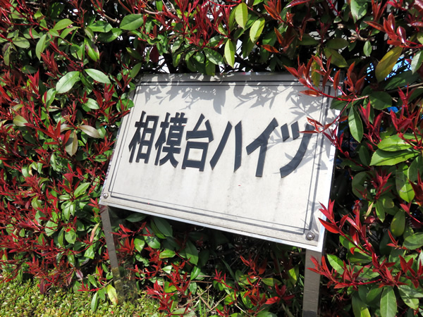 相模台ハイツＣ棟の外観