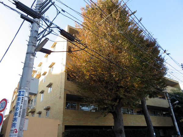 インディペンデンスヴィレッジ成城西の外観