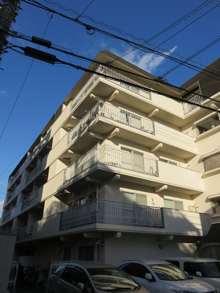 豊栄喜多見マンションの外観