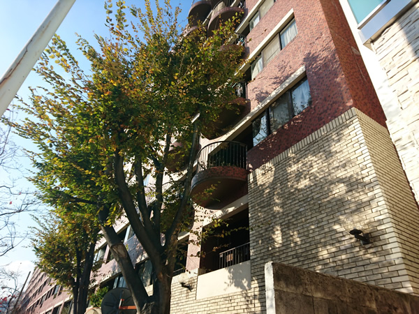 インペリアル広尾の外観