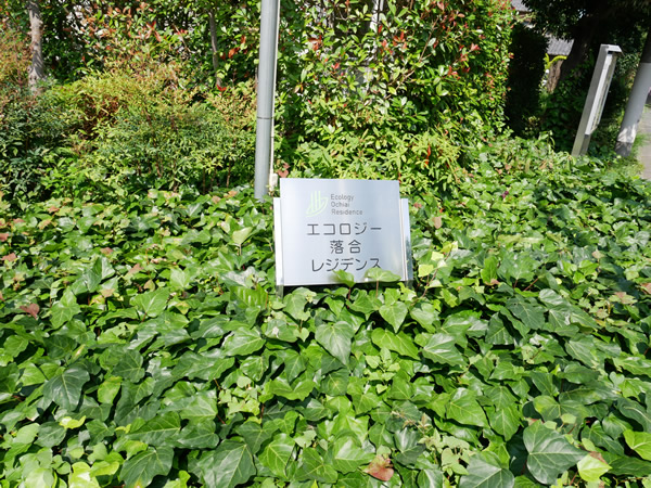 エコロジー落合レジデンス1の外観