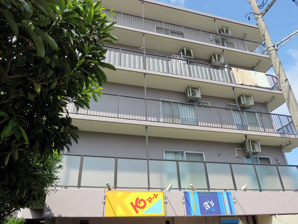 さがみ野サンハイツB棟の外観