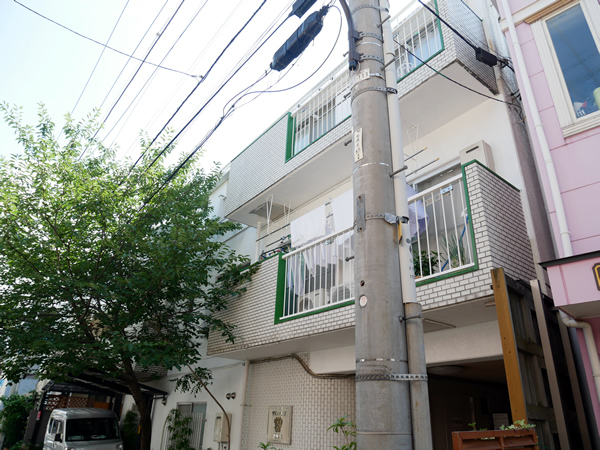 ダイアパレス上落合の外観