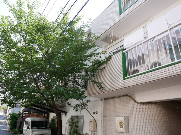 ダイアパレス上落合の外観