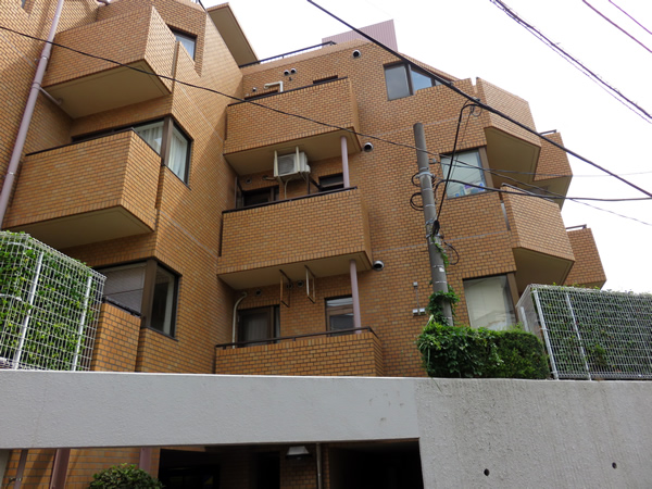 ルミネ藤が丘の外観