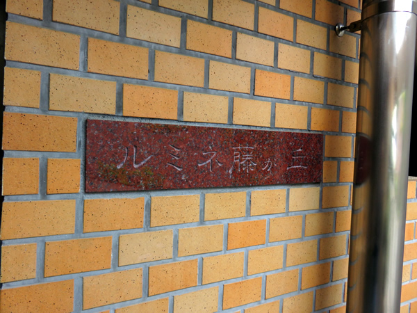 ルミネ藤が丘の外観