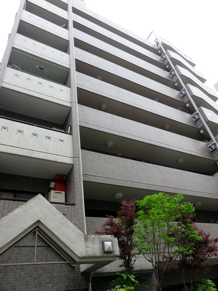 ドラゴンマンション相模原1番館の外観