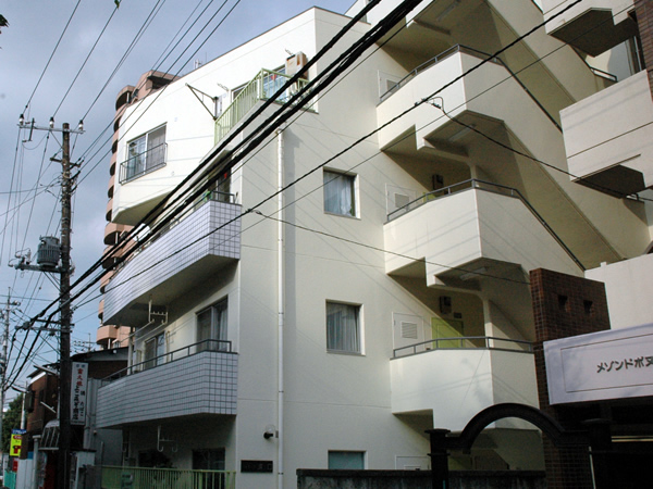 ハイラーク溝の口の外観