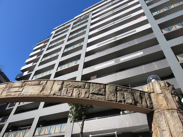 ダイアパレスグランデージ川崎多摩川リバーウイングスの外観