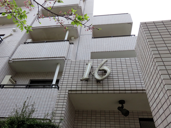 ロビーシティ相模大野５番街１６号棟の外観