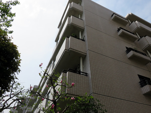 ロビーシティ相模大野５番街１５号棟の外観