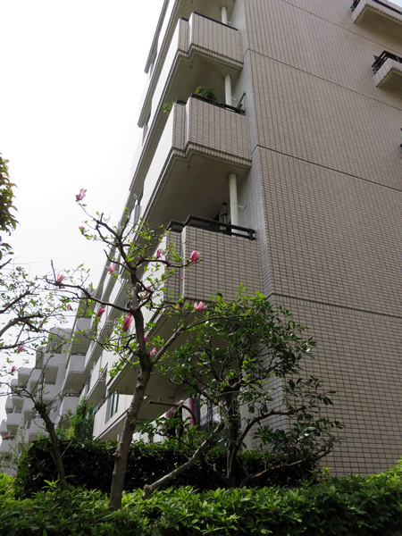 ロビーシティ相模大野５番街１５号棟の外観